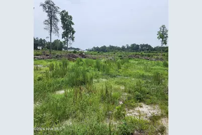 E1107 Eleven Farms Rd. Road, Salemburg, NC 28385 - Photo 6