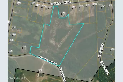 E1107 Eleven Farms Rd. Road, Salemburg, NC 28385 - Photo 14