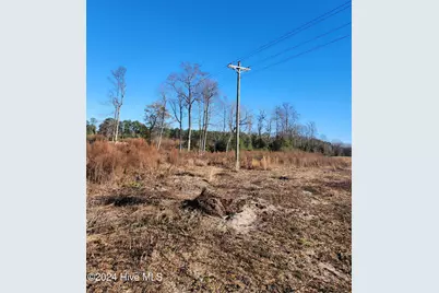 E1107 Eleven Farms Rd. Road, Salemburg, NC 28385 - Photo 12