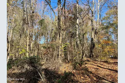 153 Vista Lane, Rockingham, NC 28379 - Photo 38