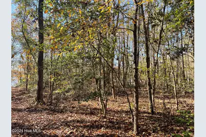 153 Vista Lane, Rockingham, NC 28379 - Photo 40