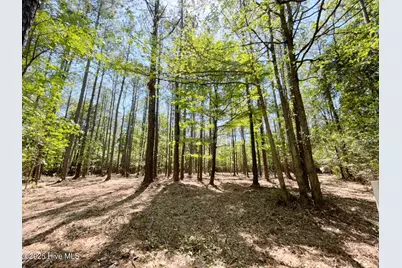 379 Mill Creek Drive, Minnesott Beach, NC 28510 - Photo 6
