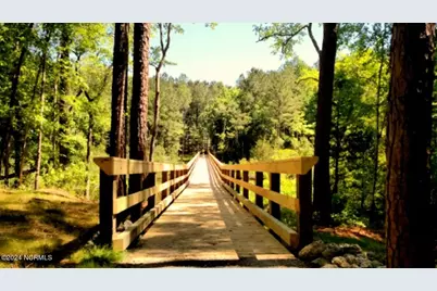 379 Mill Creek Drive, Minnesott Beach, NC 28510 - Photo 18