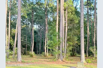379 Mill Creek Drive, Minnesott Beach, NC 28510 - Photo 4