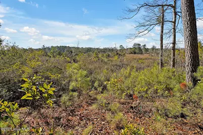 803 Weston Lane SE, Bolivia, NC 28422 - Photo 10