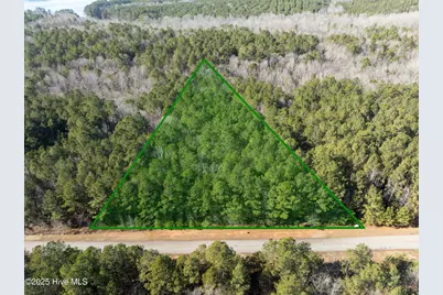 000 N State Lane, Rockingham, NC 28379 - Photo 1