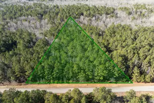 000 N State Ln, Rockingham, NC 28379 - Photo 1