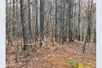 000 N State Lane, Rockingham, NC 28379 - Photo 12