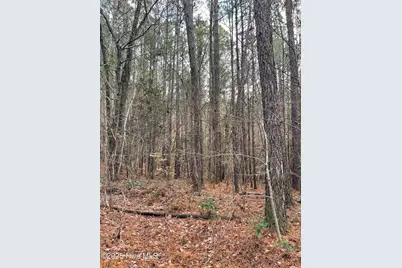 000 N State Lane, Rockingham, NC 28379 - Photo 10