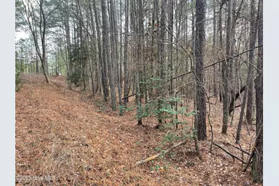 000 N State Lane, Rockingham, NC 28379 - Photo 14