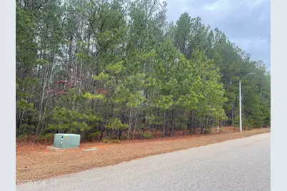 000 N State Lane, Rockingham, NC 28379 - Photo 20