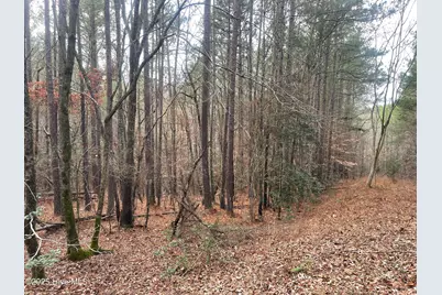 000 N State Lane, Rockingham, NC 28379 - Photo 18