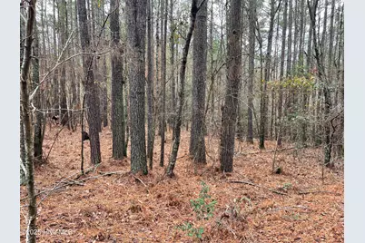 000 N State Lane, Rockingham, NC 28379 - Photo 6