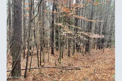 000 N State Lane, Rockingham, NC 28379 - Photo 8