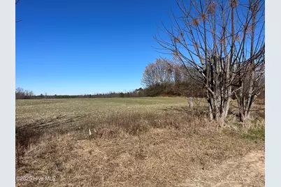 4220 Blacks Chapel Road, Sanford, NC 27332 - Photo 6