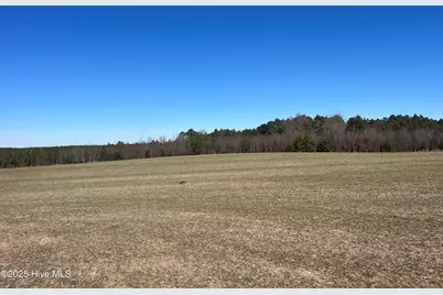4220 Blacks Chapel Road, Sanford, NC 27332 - Photo 14