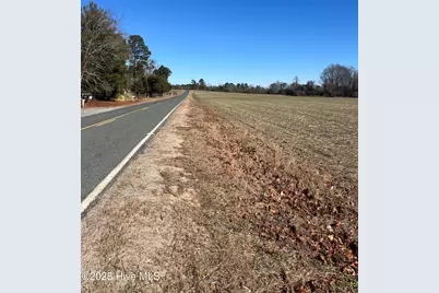 4220 Blacks Chapel Road, Sanford, NC 27332 - Photo 2