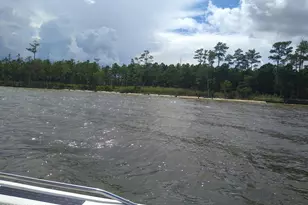 228 Hopkins Seafood Rd, Belhaven, NC 27810 - Photo 14