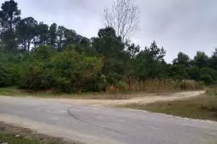 228 Hopkins Seafood Rd, Belhaven, NC 27810 - Photo 22
