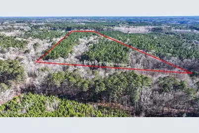 Off J B Morgan Road, Apex, NC 27523 - Photo 14