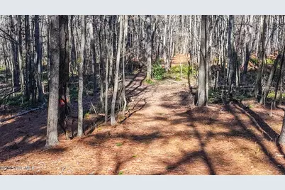 Off J B Morgan Road, Apex, NC 27523 - Photo 10