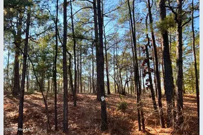433 Thimbleberry Drive, Vass, NC 28394 - Photo 2
