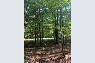 54 Palomino Road, Carthage, NC 28327 - Photo 18