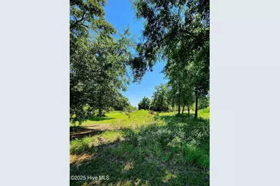 170 Royal Palms Way, Holly Ridge, NC 28445 - Photo 2