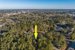 300 McArthur St, Tabor City, NC 28463 - Photo 42