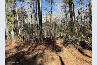 354 Belgrade Swansboro Road, Stella, NC 28582 - Photo 20