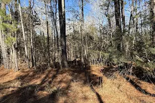 354 Belgrade-Swansboro Rd, Stella, NC 28582 - Photo 20