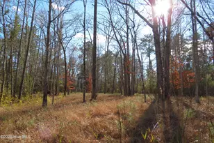 109 Winding Creek Dr, Oriental, NC 28571 - Photo 1