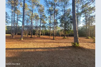 6614 Carrick Notch SW, Ocean Isle Beach, NC 28469 - Photo 2