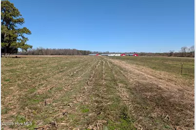 000 Cedar Fork Road, Beulaville, NC 28518 - Photo 2