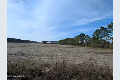 522 Plum Nearly Lane, Trenton, NC 28585 - Photo 26