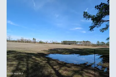 522 Plum Nearly Lane, Trenton, NC 28585 - Photo 20