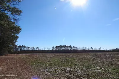 0 Neals Creek Road, Bayboro, NC 28515 - Photo 22