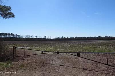 0 Neals Creek Road, Bayboro, NC 28515 - Photo 18