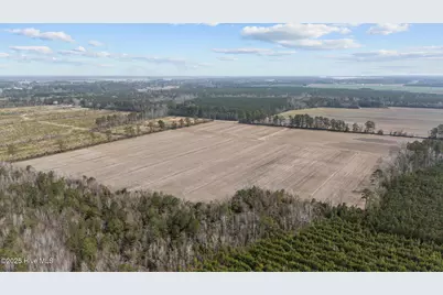 0 Neals Creek Road, Bayboro, NC 28515 - Photo 12