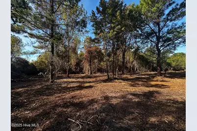 110 Brandon Avenue, Hubert, NC 28539 - Photo 6