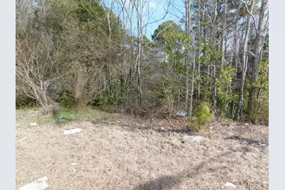 10781 Gibson Road, Laurel Hill, NC 28351 - Photo 4
