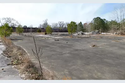 10781 Gibson Road, Laurel Hill, NC 28351 - Photo 14