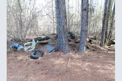 10781 Gibson Road, Laurel Hill, NC 28351 - Photo 44