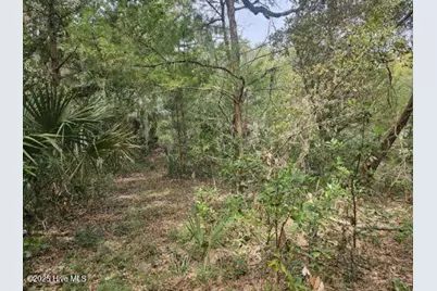 35 Dowitcher Trail, Bald Head Island, NC 28461 - Photo 2
