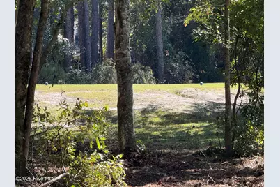 900 Crooked Creek Drive, New Bern, NC 28560 - Photo 12