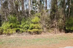652 Gervais St SE, Bolivia, NC 28422 - Photo 1