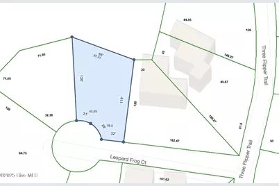 5 Leopard Frog Court, Bald Head Island, NC 28461 - Photo 1