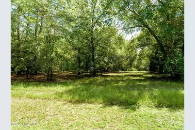 211 River Ridge Rd Drive, Wallace, NC 28466 - Photo 2