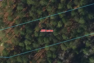 95 Corrolla Loop Rd, Oriental, NC 28571 - Photo 1