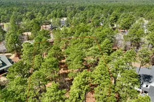 103 Chesterfield Dr, Pinehurst, NC 28374 - Photo 16